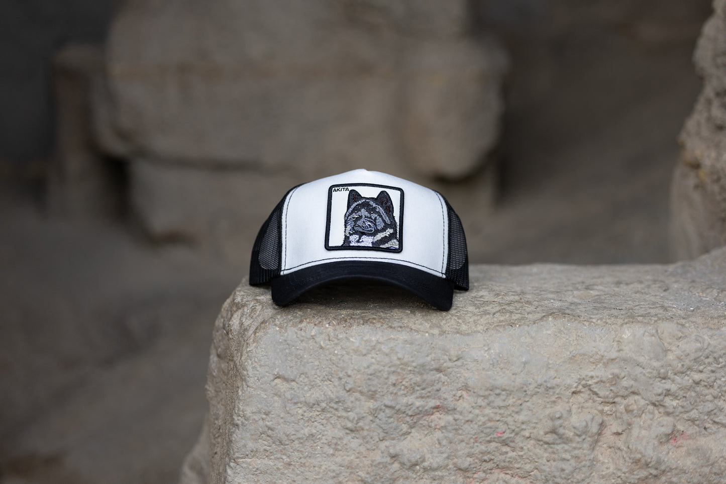 DogKingdom Akita trucker hat placed on a stone surface for a natural outdoor product display