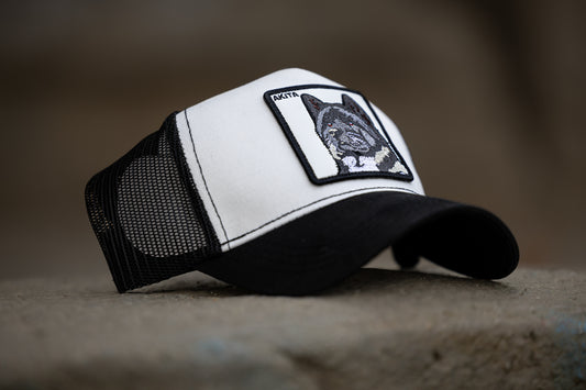Close-up of DogKingdom black and white trucker hat with Akita embroidery displayed on textured stone