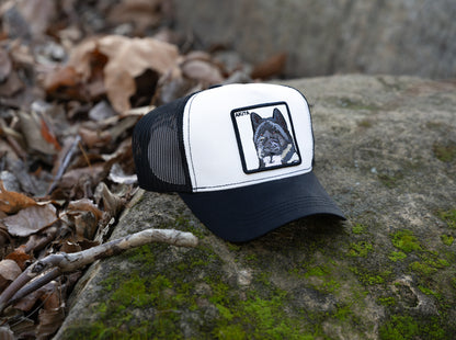 DogKingdom Akita trucker hat resting on moss-covered rock with fallen leaves in the background