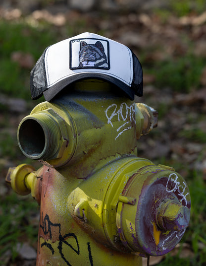 DogKingdom trucker hat with Akita patch styled on a yellow fire hydrant in an outdoor urban setting