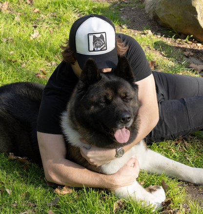 Person lying on grass wearing a DogKingdom hat while hugging a large Akita dog