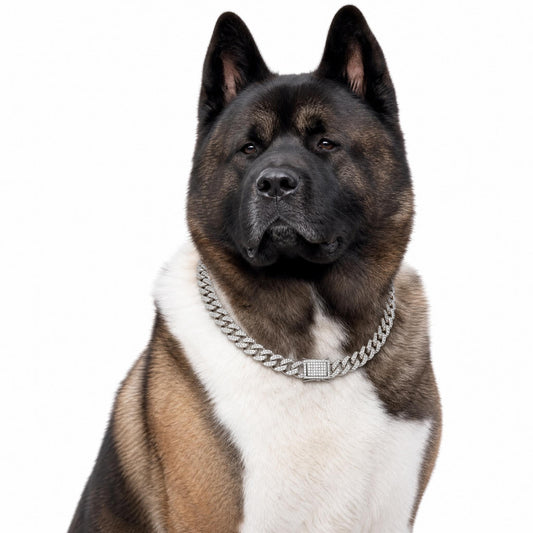 Cuban Link Dog Collars