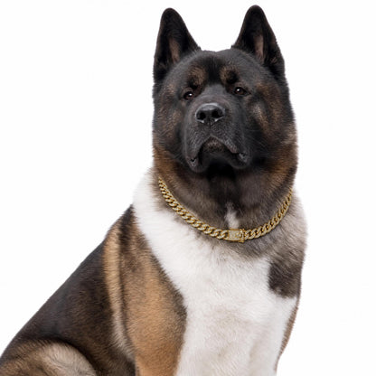 Cuban Link Dog Collars