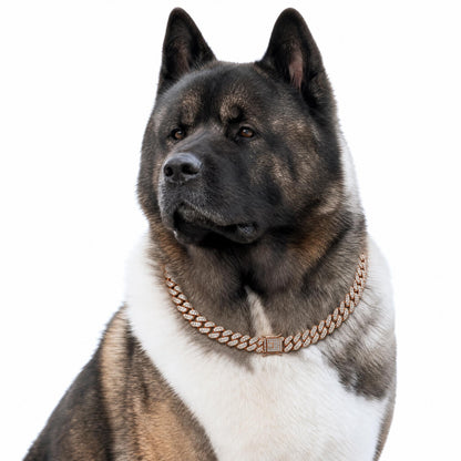Cuban Link Dog Collars