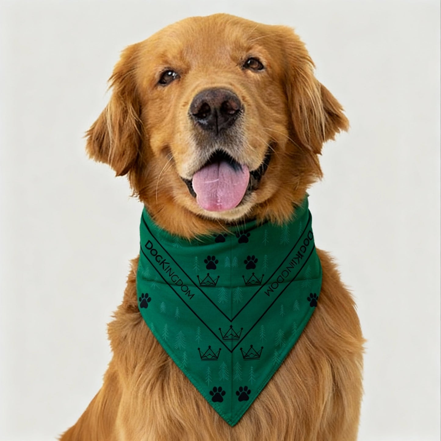 DogKingdom™ Premium Cotton Dog Bandana
