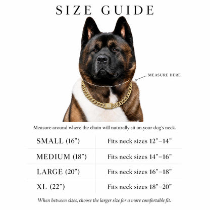 Cuban Link Dog Collars